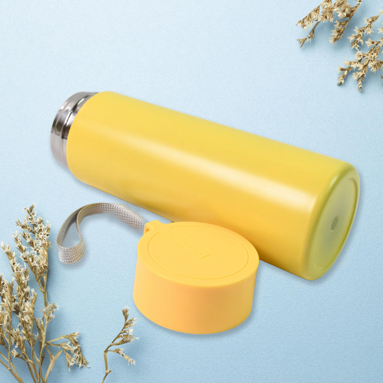 Vacuum Insulated Stainless Steel Double Walled (500 Ml Approx Mix Color)
