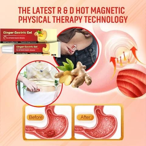 Ginger Gastric Gel 20 g (Pack of 1)