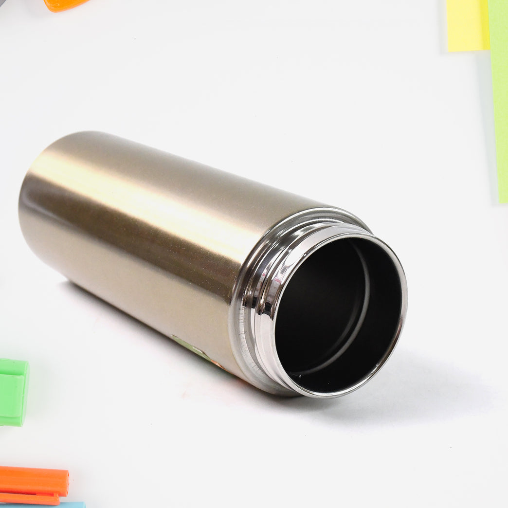 Water Bottle Vacuum Insulated Stainless Steel Bottle (300 Ml 1 Pc)