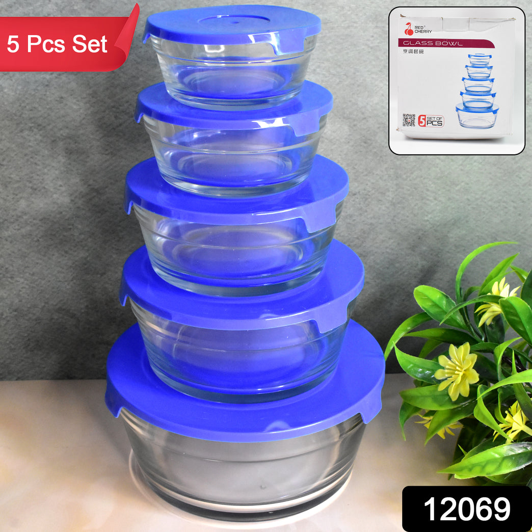 Modern Glass Bowl Set Mixing Storage Bowls With Lids (5 Pcs Set)