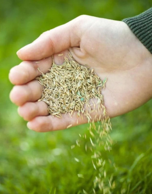 6365