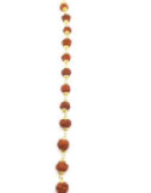 Original 5 Mukhi 5 Face Golden Cap Rudraksha Bracelet (Pack of 1)
