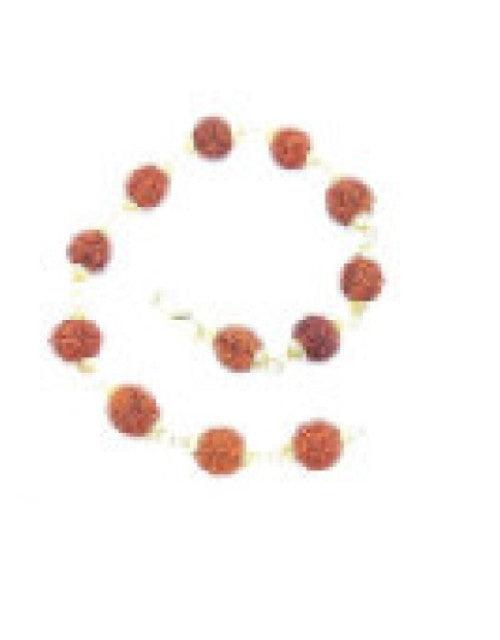Original 5 Mukhi 5 Face Golden Cap Rudraksha Bracelet (Pack of 1)