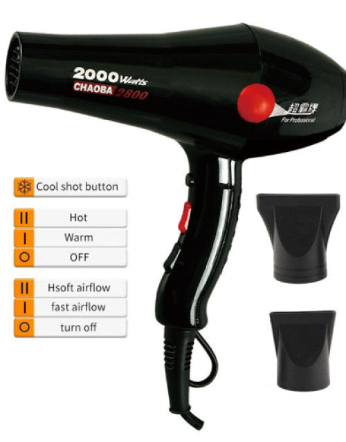 2000 Watts Professional Hair Dryer (Black- Model 2800)