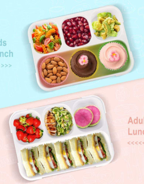 4 Compartment Bento Lunch Box for Kids Lunch Bento Box