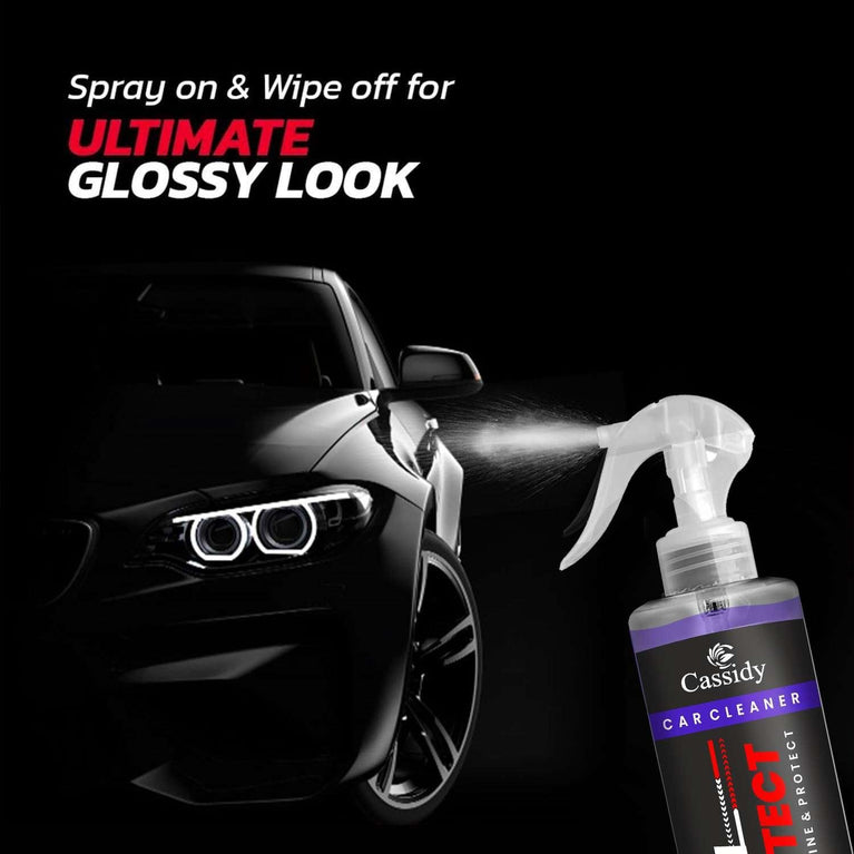 CASSIDY Car Cleaner 100ml (Pack of 2)