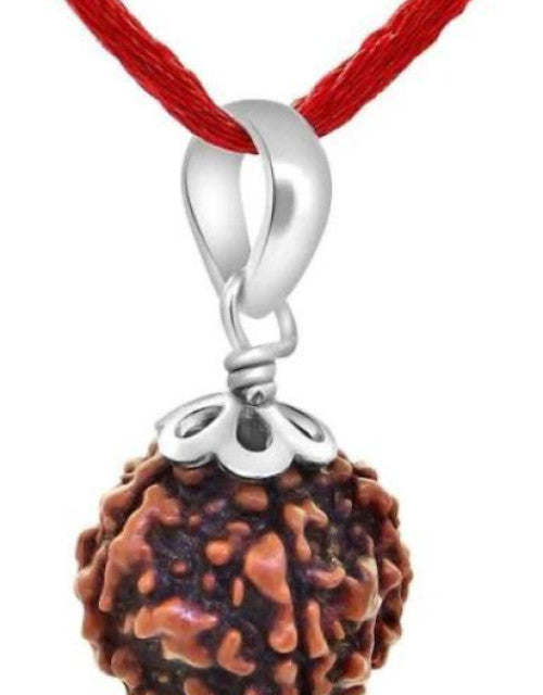 5 Mukhi Nepali Rudraksha - Paanch Mukhi