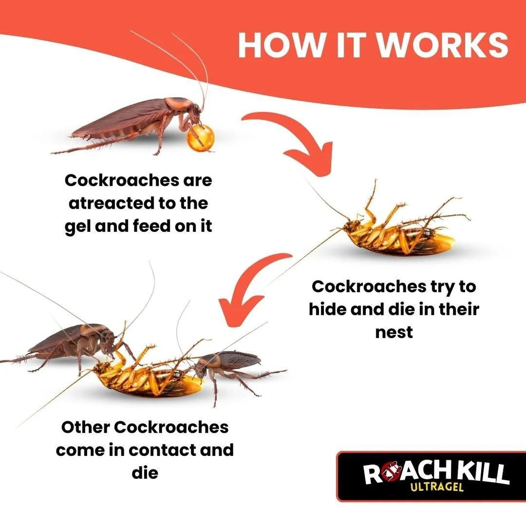 Roach Kill Ultragel Pack of 2