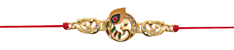 Rakhi 117