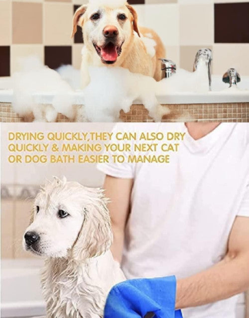 Anti-Itch Dog Shampoo Ditch to Itch (Pack of 2)