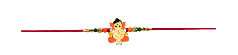 Rakhi 255