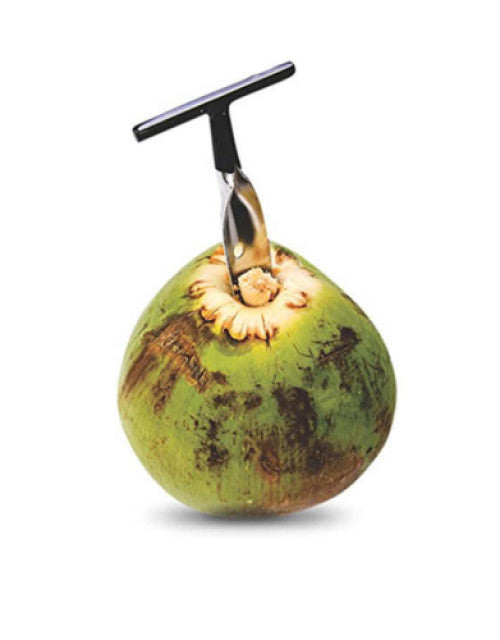 Coconut Water Manual Open Tools Stainless Steel Coconut Opener