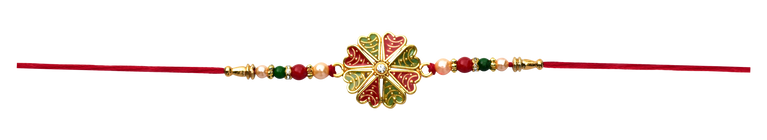 Rakhi 254