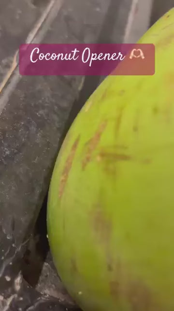 Coconut Water Manual Open Tools Stainless Steel Coconut Opener