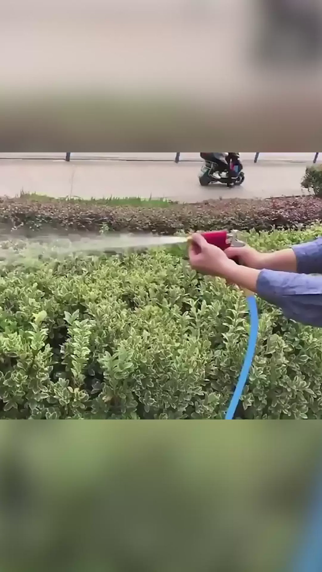 High Pressure Water Spray Gun for Car, Bike and Plants Sprayer Spray Gun